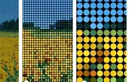 开云官方平台-Polkadot打破年内纪录，走高幅高达17%，还能否继续追涨？，震惊市场