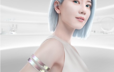 开云官方平台-SHIB官宣与17.44携手，开启元宇宙新纪元！