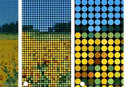 Polkadot打破年内纪录，走高幅高达17%，还能否继续追涨？，震惊市场