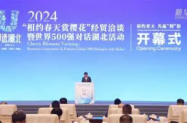 包含板球大奖赛上演强强对话，徽州猎隼队读秒扳平海滨银狐队，团队配合流畅；全面提速抢占先机的词条